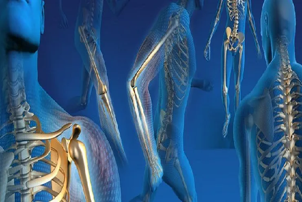 Orthopedic trauma